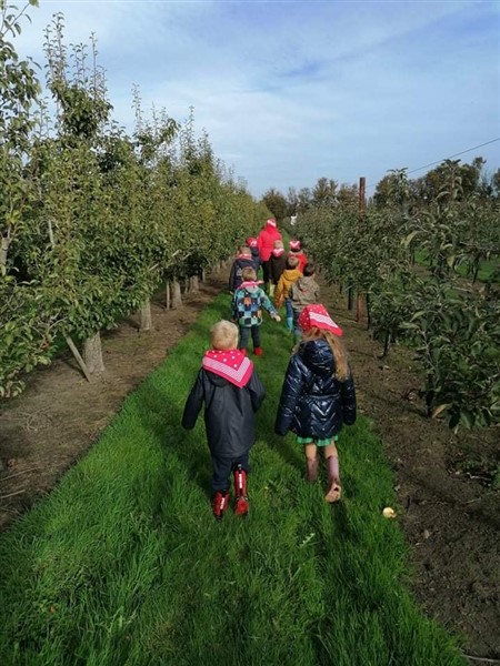 Bezoek fruitboerderij Verhofstede (18)