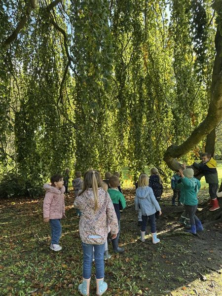 Oktober in de Olifantenklas (40)