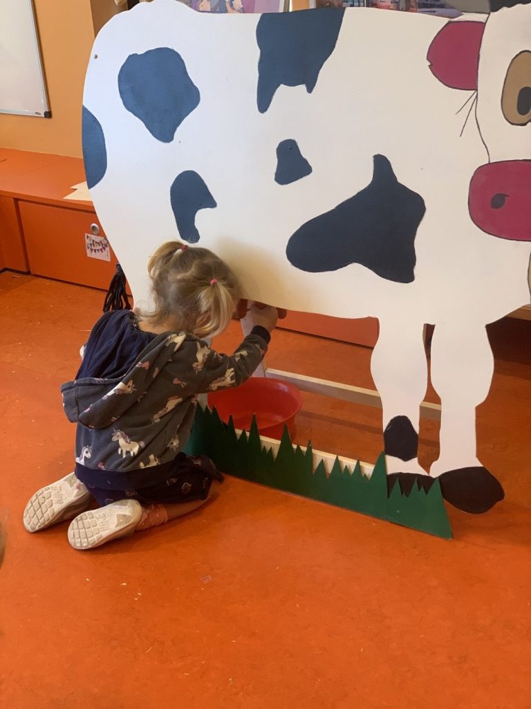 THEMA BOERDERIJ (34)
