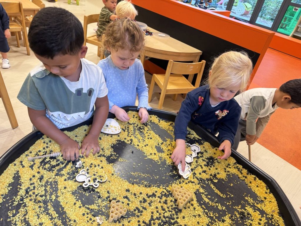 thema school (18)