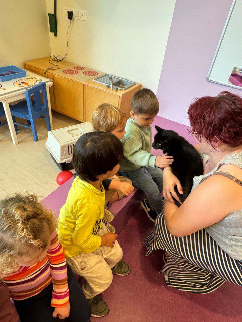 Wij verzorgen de huisdieren (15)