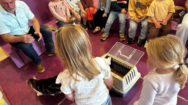Wij verzorgen de huisdieren (2)
