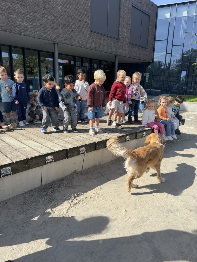 huisdieren (19)