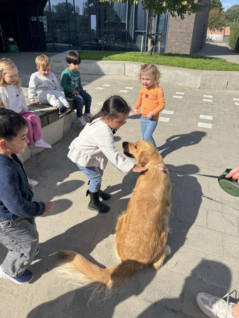 huisdieren (20)