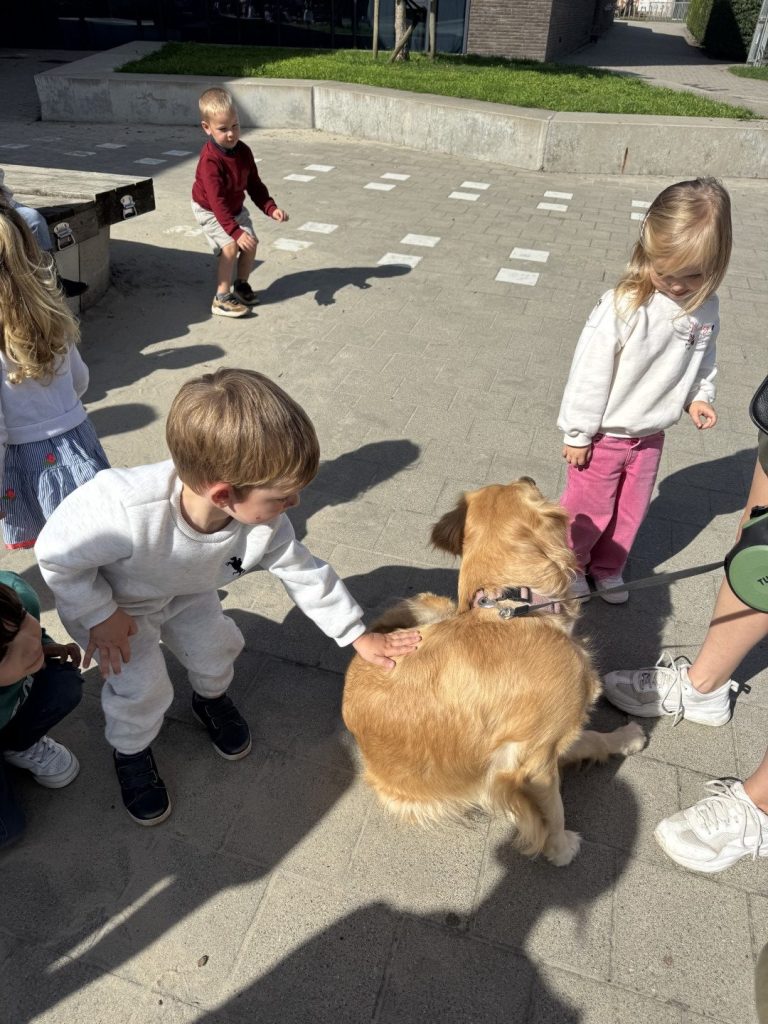huisdieren (23)