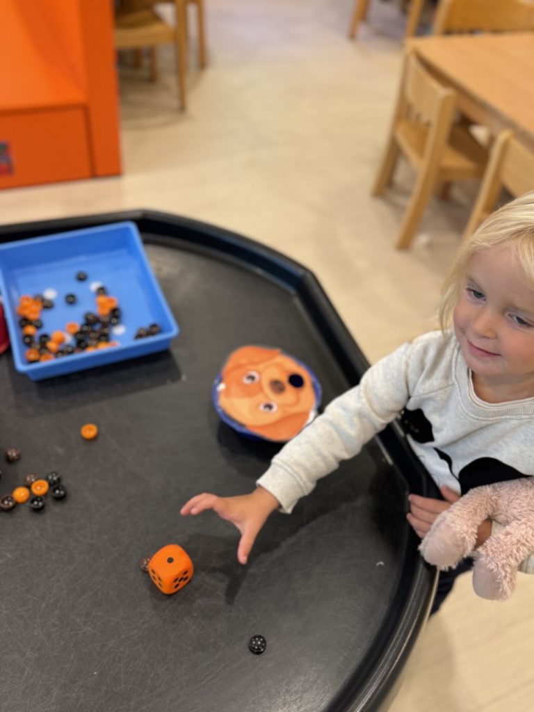 huisdieren (49)
